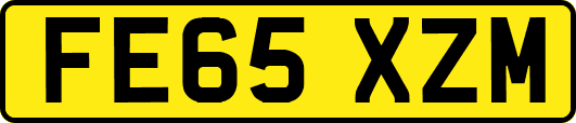 FE65XZM
