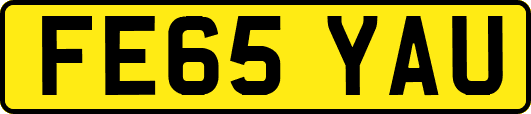 FE65YAU