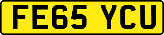 FE65YCU