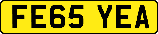 FE65YEA