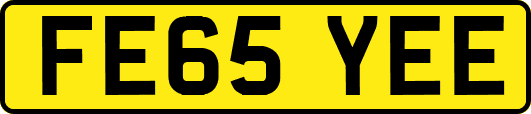 FE65YEE