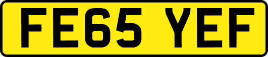FE65YEF