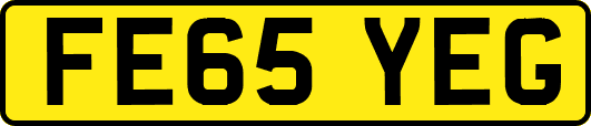 FE65YEG