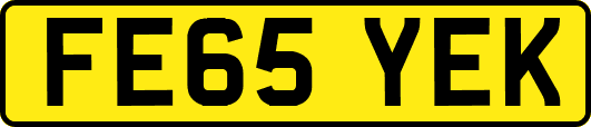 FE65YEK