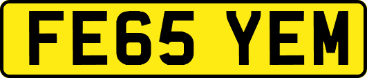 FE65YEM