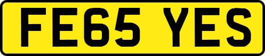 FE65YES