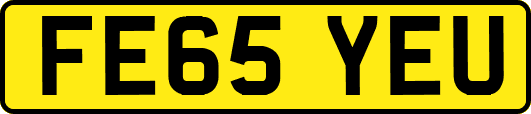 FE65YEU