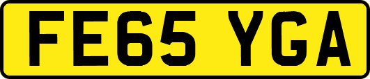 FE65YGA