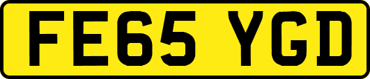 FE65YGD