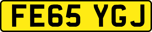 FE65YGJ
