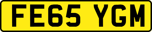 FE65YGM
