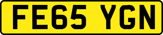 FE65YGN
