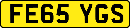 FE65YGS
