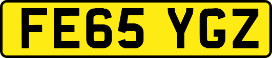 FE65YGZ