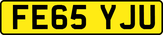 FE65YJU