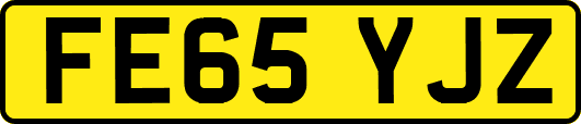 FE65YJZ