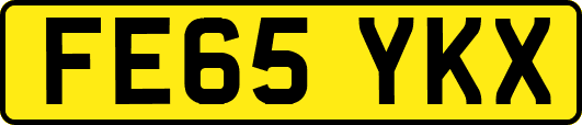 FE65YKX