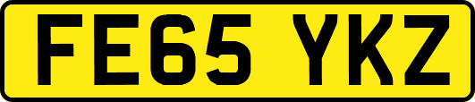 FE65YKZ