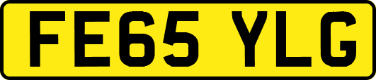 FE65YLG