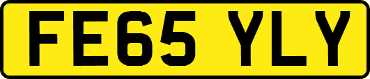 FE65YLY