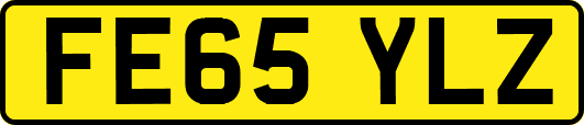 FE65YLZ