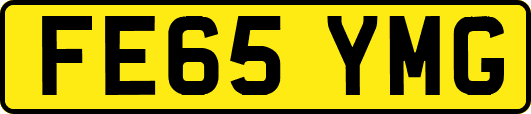 FE65YMG