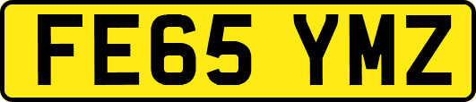 FE65YMZ