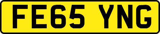 FE65YNG