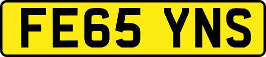 FE65YNS