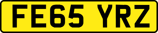 FE65YRZ