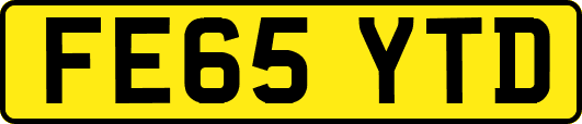 FE65YTD