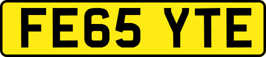 FE65YTE