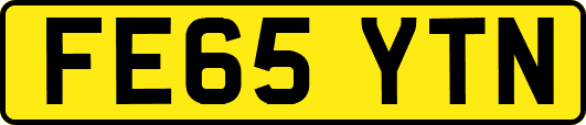 FE65YTN