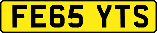 FE65YTS