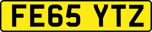 FE65YTZ