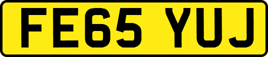 FE65YUJ
