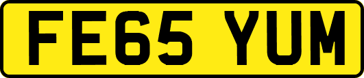 FE65YUM