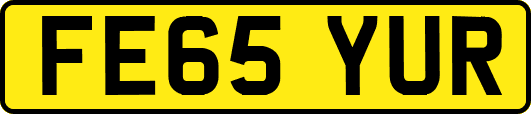 FE65YUR