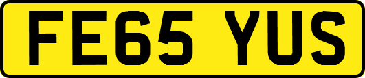 FE65YUS