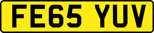 FE65YUV
