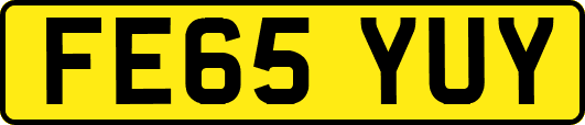 FE65YUY
