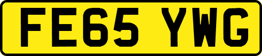 FE65YWG