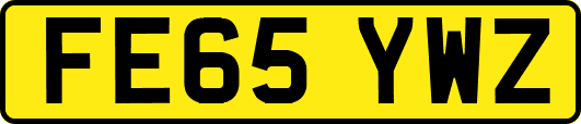 FE65YWZ
