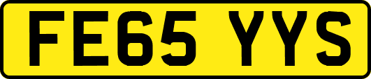 FE65YYS