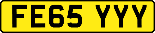 FE65YYY