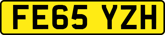 FE65YZH