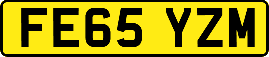 FE65YZM