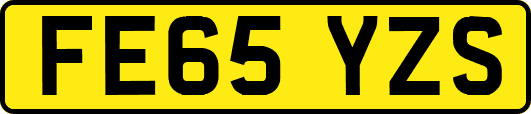 FE65YZS