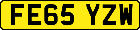 FE65YZW