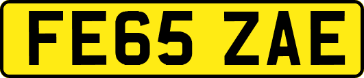 FE65ZAE
